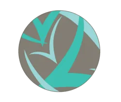 Vital Voices Global Partnership