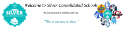 Silver City Consolidated School District 1
