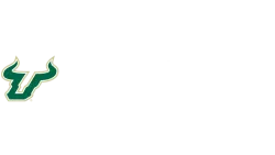 University of South Florida