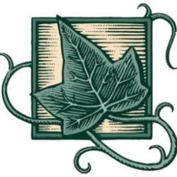 Allen Health and Rehabilitation