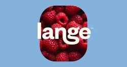 Lange Company