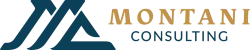 Montani Consulting