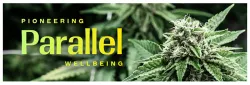Live Parallel