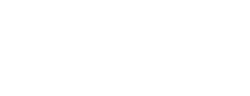 Partner's Capital