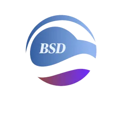 BSD Business Consulting