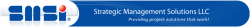 Strategic Management Solutions.