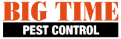 Big Time Pest Control