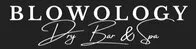 blowology dry bar