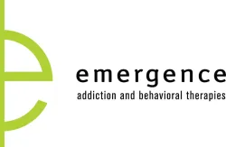 Emergence