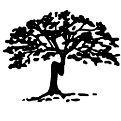Milan Area Schools